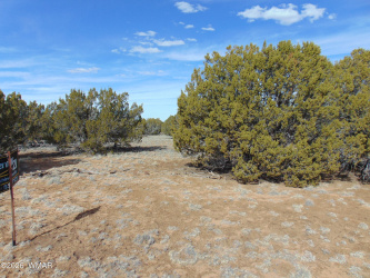49 County Road, Vernon, Arizona 85940, ,Land,For Sale,County,259591