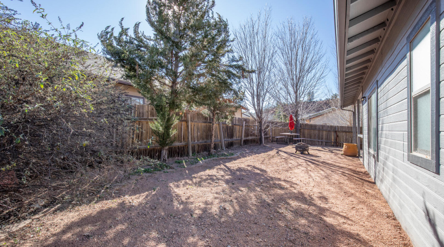 Backyard 1