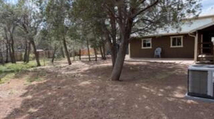Garage and Backyard