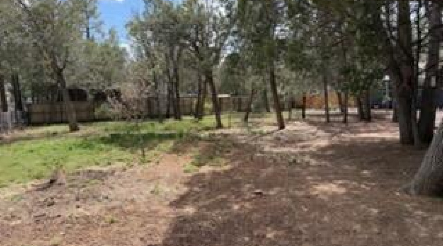 Large Backyard