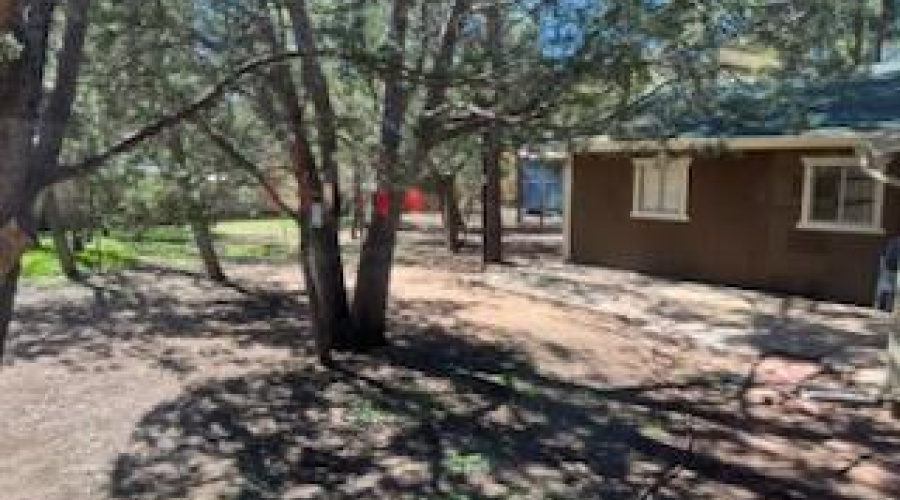Back Yard and Garage