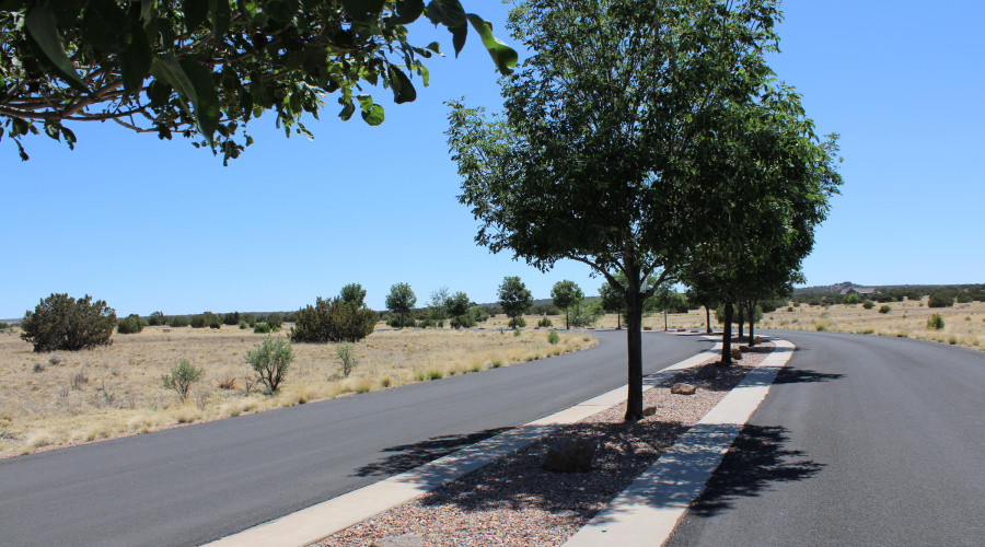 Paved Roads