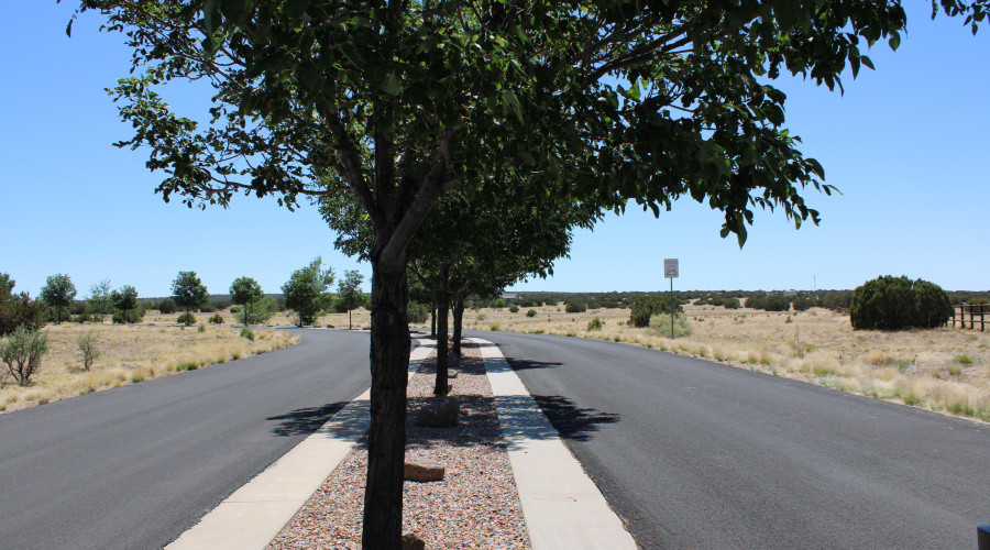 Tree Lined Entry to Canyon Vista Estates