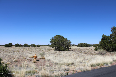 7700 Del Rio Drive, Show Low, Arizona 85901, ,Land,For Sale,Del Rio,241559