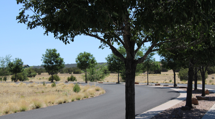 Entry Access to Canyon Vista Estates