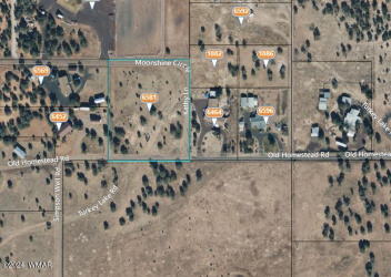 6581 Moonshine Circle, Show Low, Arizona 85901, ,Land,For Sale,Moonshine,250042