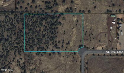 3950 Industrial Loop, Show Low, Arizona 85901, ,Land,For Sale,Industrial,250578