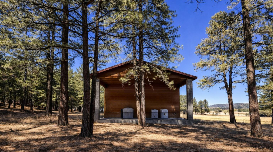 Wooden storage shed in forested landscap