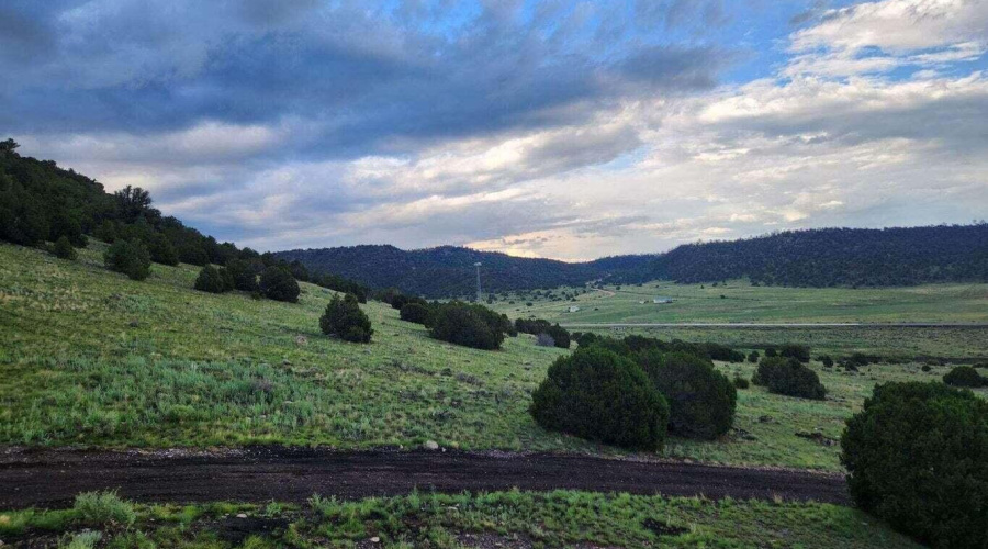 View002
