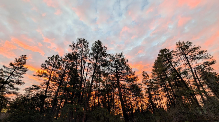 1166 Sunrise