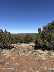 19 County Road 8230, Concho, Arizona 85924, ,Land,For Sale,County Road 8230,259618