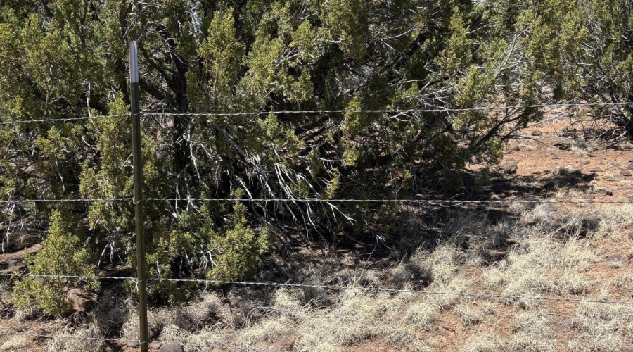 Neighbors Land