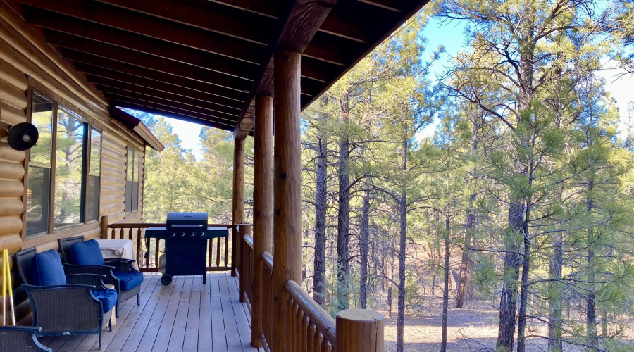 Large Covered Deck