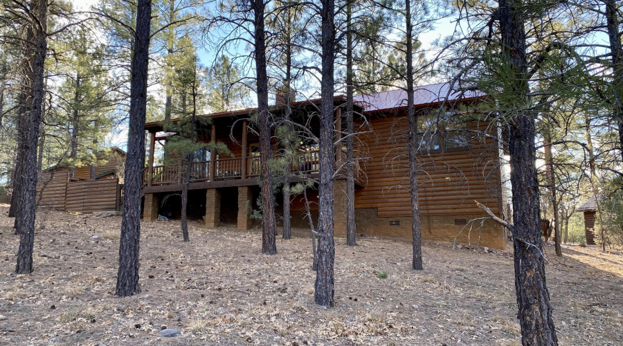 Wooded Lot
