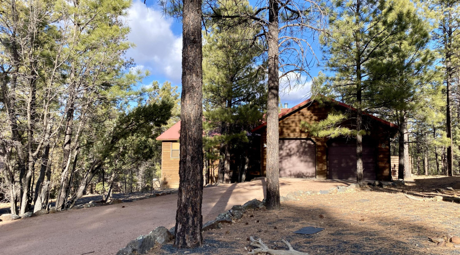 Rustic Cabin