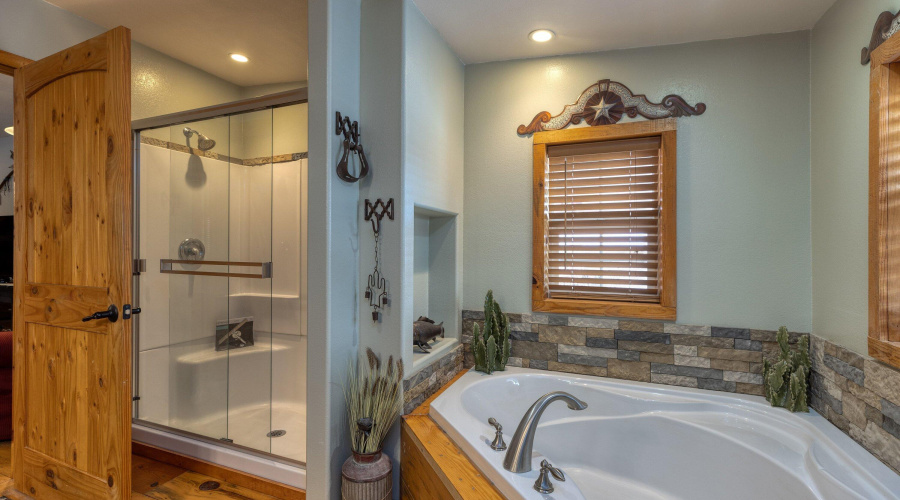 Master bathroom