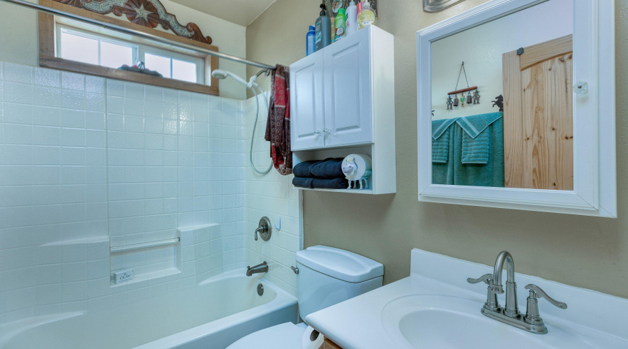Guest bathroom