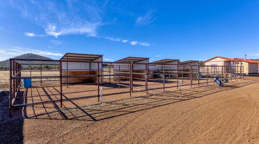 4 Covered stalls
