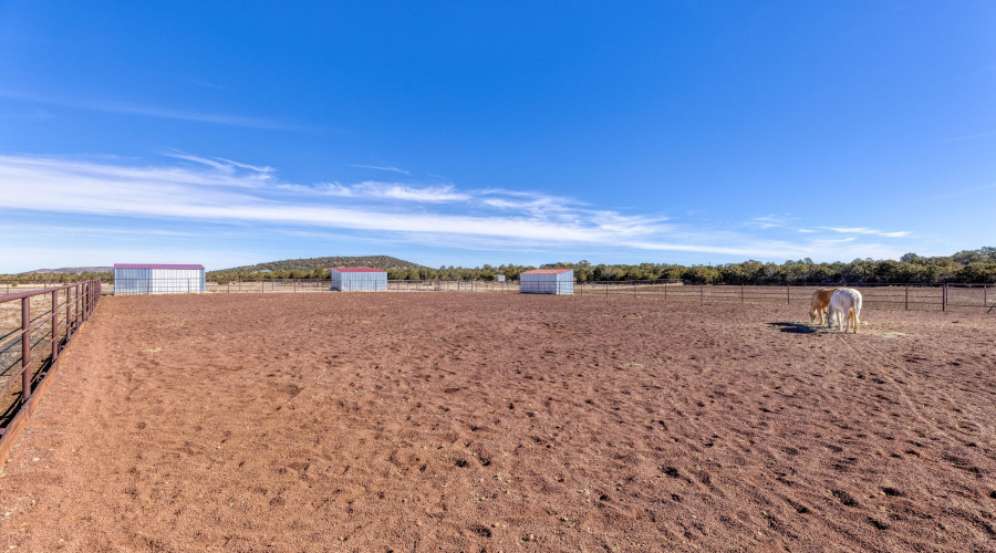 Horse Property!