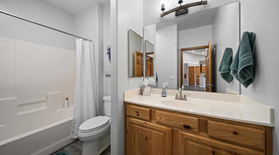 Guest Bath