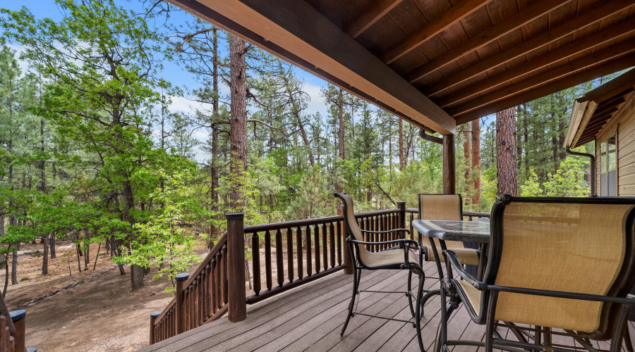 Ponderosa Pines