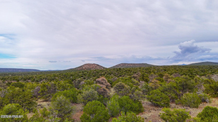 132 Sidewinder Road, Williams, Arizona 86046, ,Land,For Sale,Sidewinder,259636