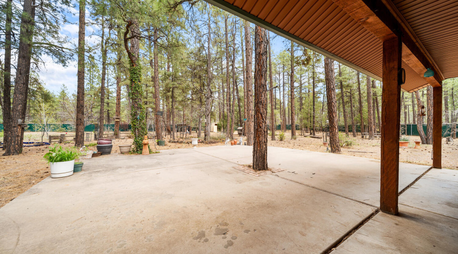 Concrete Porch