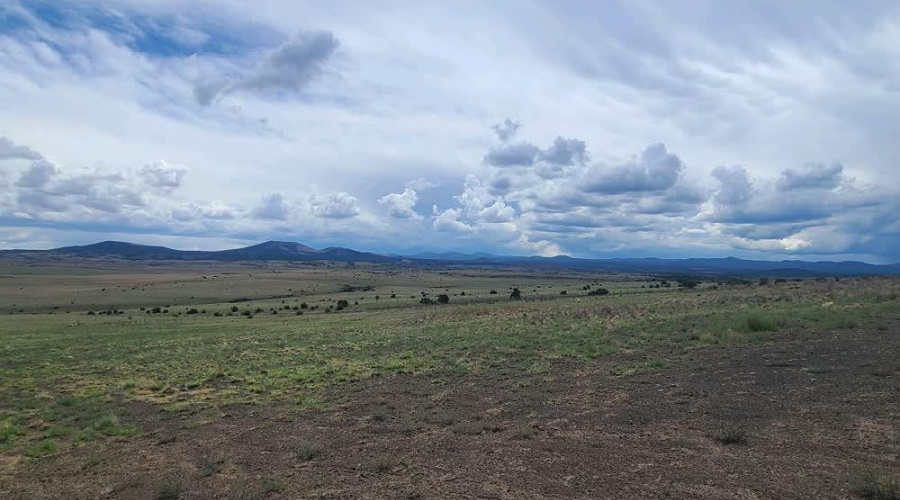 FLAT LAND