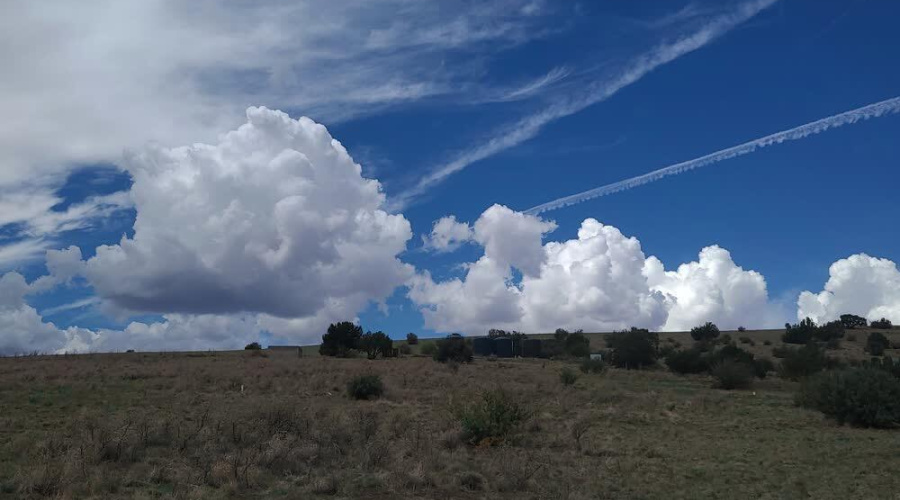 LAND