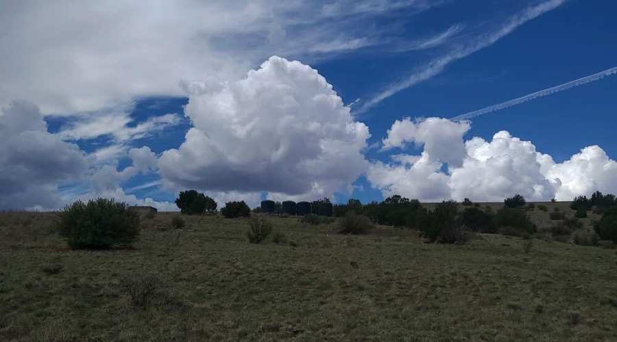 LAND