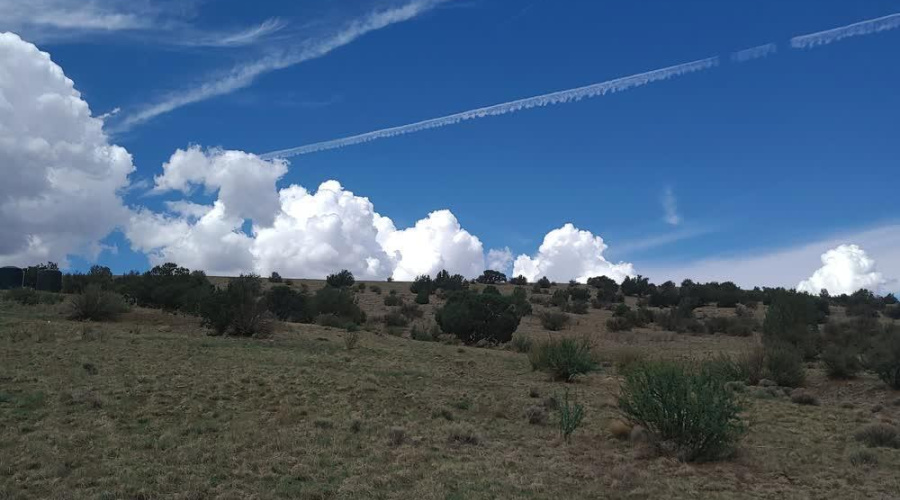 LAND