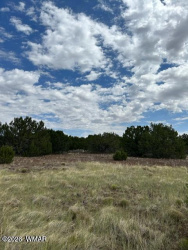 TBD CR N3109 & N3102, Vernon, Arizona 85940, ,Land,For Sale,CR N3109 & N3102,259663