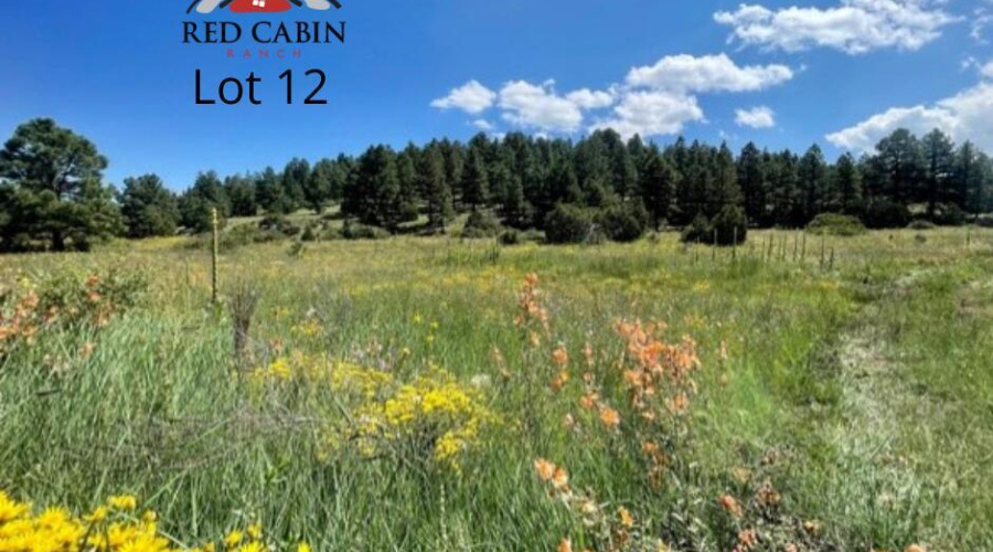 Red Cabin Ranch