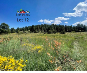 Lot 12 Red Cabin Ranch, Vernon, Arizona 85940, ,Land,For Sale,Red Cabin Ranch,253380
