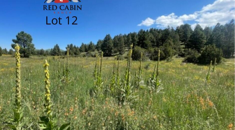 Red Cabin Ranch