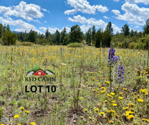 Lot 10 Red Cabin Ranch, Vernon, Arizona 85940, ,Land,For Sale,Red Cabin Ranch,253379