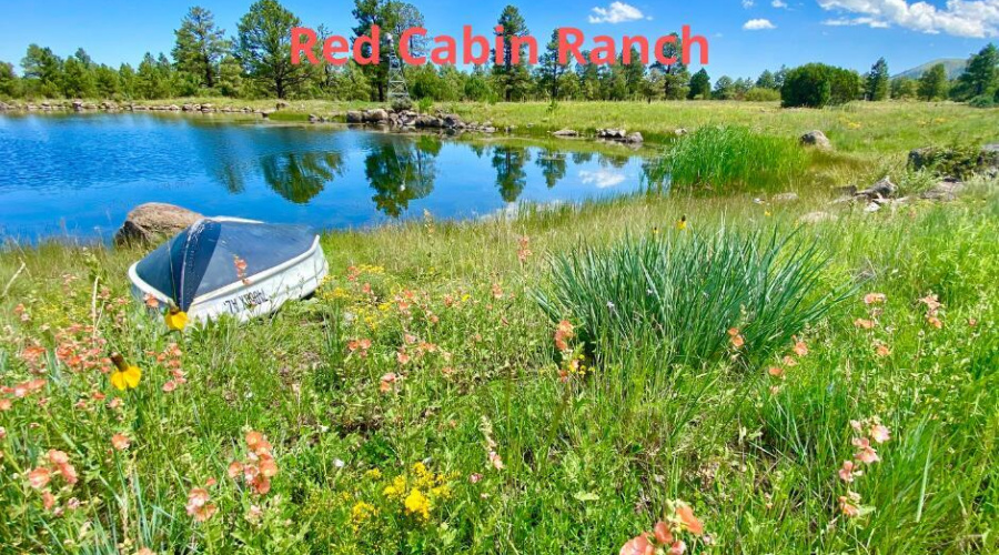 Summertime at Red Cabin Ranch