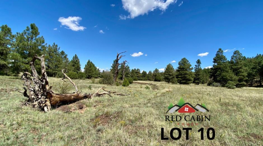 Red Cabin Ranch