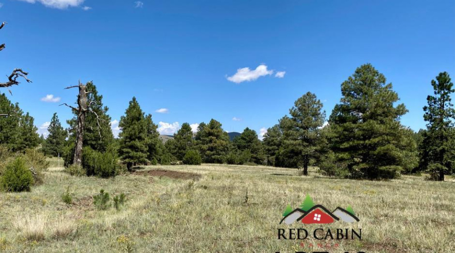 Red Cabin Ranch