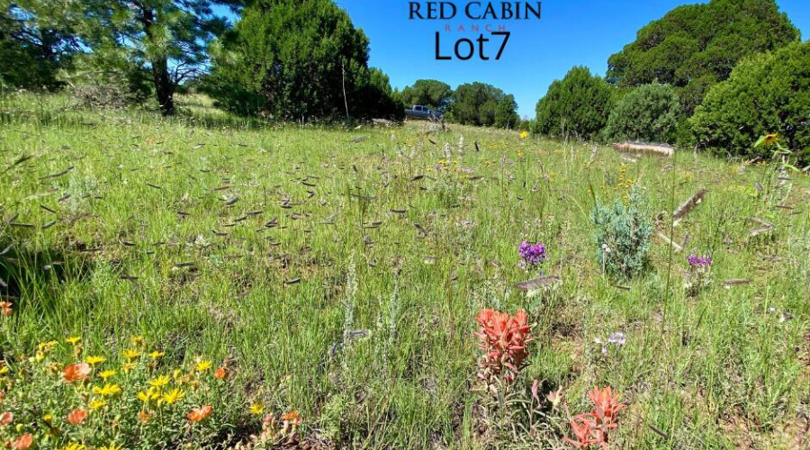 Red Cabin Ranch