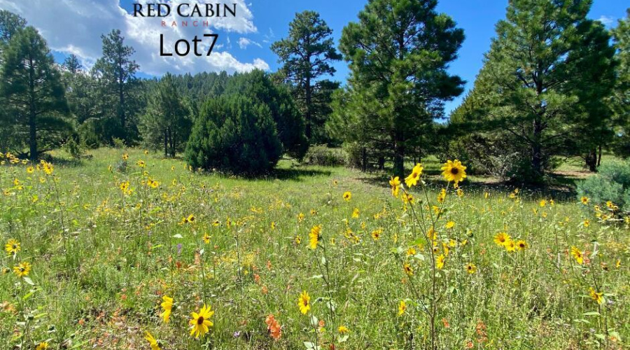 Red Cabin Ranch