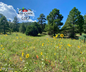 Lot 7 Red Cabin Ranch, Vernon, Arizona 85940, ,Land,For Sale,Red Cabin Ranch,253378