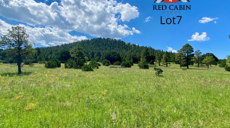 Red Cabin Ranch