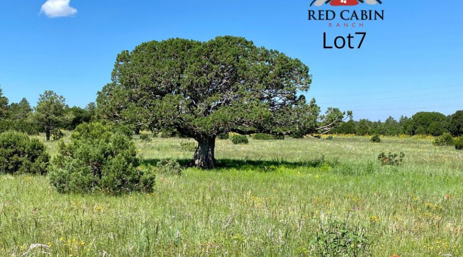 Red Cabin Ranch