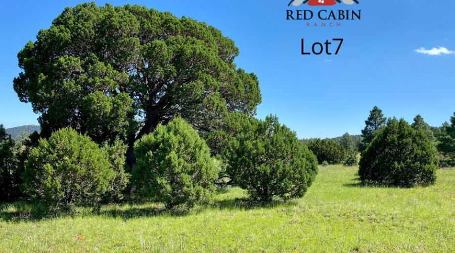 Red Cabin Ranch