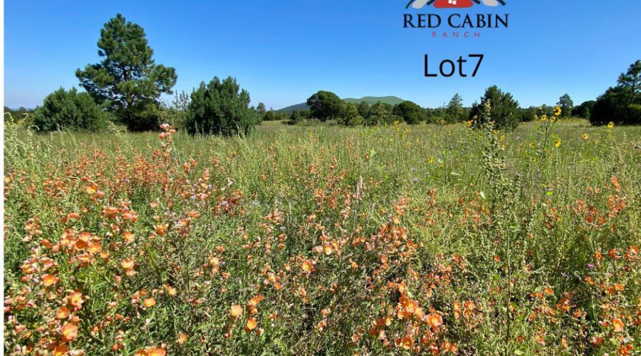 Red Cabin Ranch