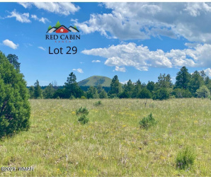 Lot 29 Red Cabin Ranch, Vernon, Arizona 85940, ,Land,For Sale,Red Cabin Ranch,257408