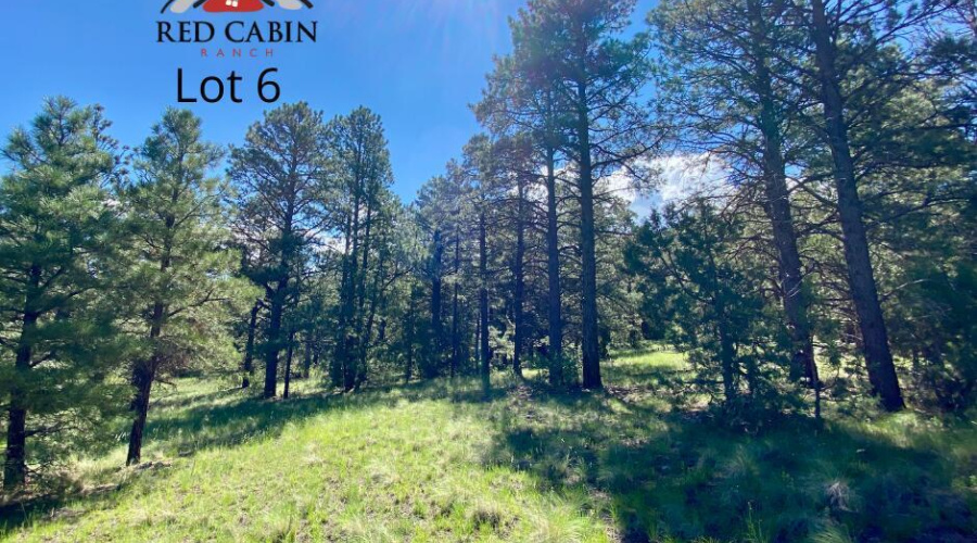 Red Cabin Ranch