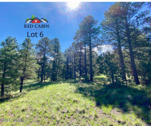 Lot 6 Red Cabin Ranch, Vernon, Arizona 85940, ,Land,For Sale,Red Cabin Ranch,253377