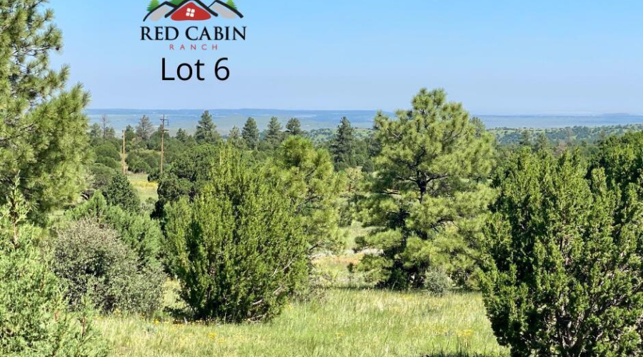 Lot 6